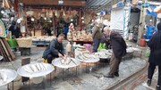 ببینید | بازار سنتی و جذاب ماهی فروشان لنگرود