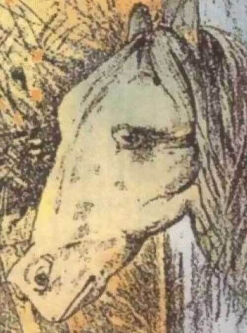 تست شخصیت | در نگاه اول به تصویر چه حیوانی را میبینید؟ | معنای دیدن هر حیوان