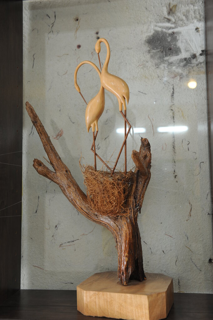 این غزالها درآمدزایی میکنند