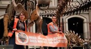 استخوان‌های دایناسور انتخابی ترسناک برای اعتراض به شرایط اقلیمی