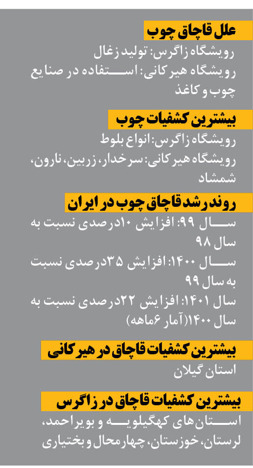 روند رو به رشد قاچاق چوب