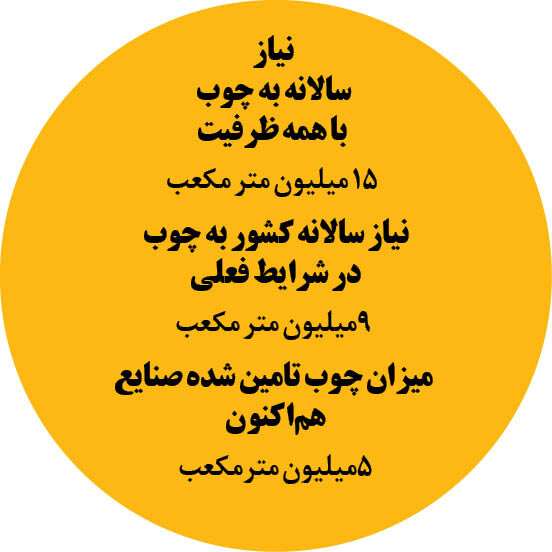 روند رو به رشد قاچاق چوب