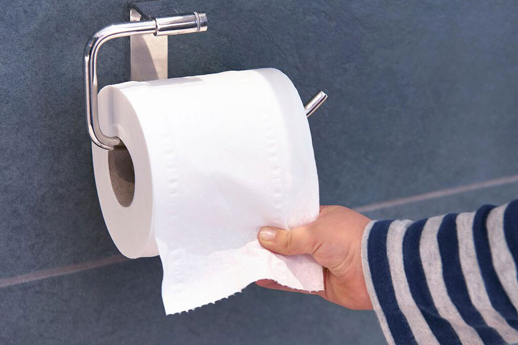 toilet paper - دستمال توالت