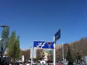 پشت پرده خیابان گوگل در پایتخت ایران ؛ ارتباط خاص تجریشی‌ها با گوگل | تهران خیابانی به نام موتور جست‌وجو دارد؟