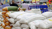 قیمت انواع برنج ایرانی در میادین میوه و تره‌بار تهران | ارزان‌ترین برنج ۳۵ هزار تومان