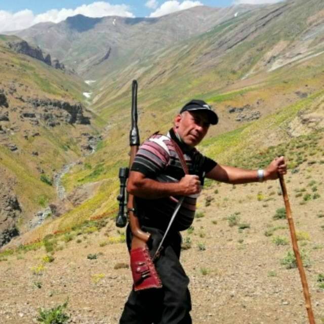 گلهداری این روزها عشق میخواهد | وقتی گرگ به گله میزند