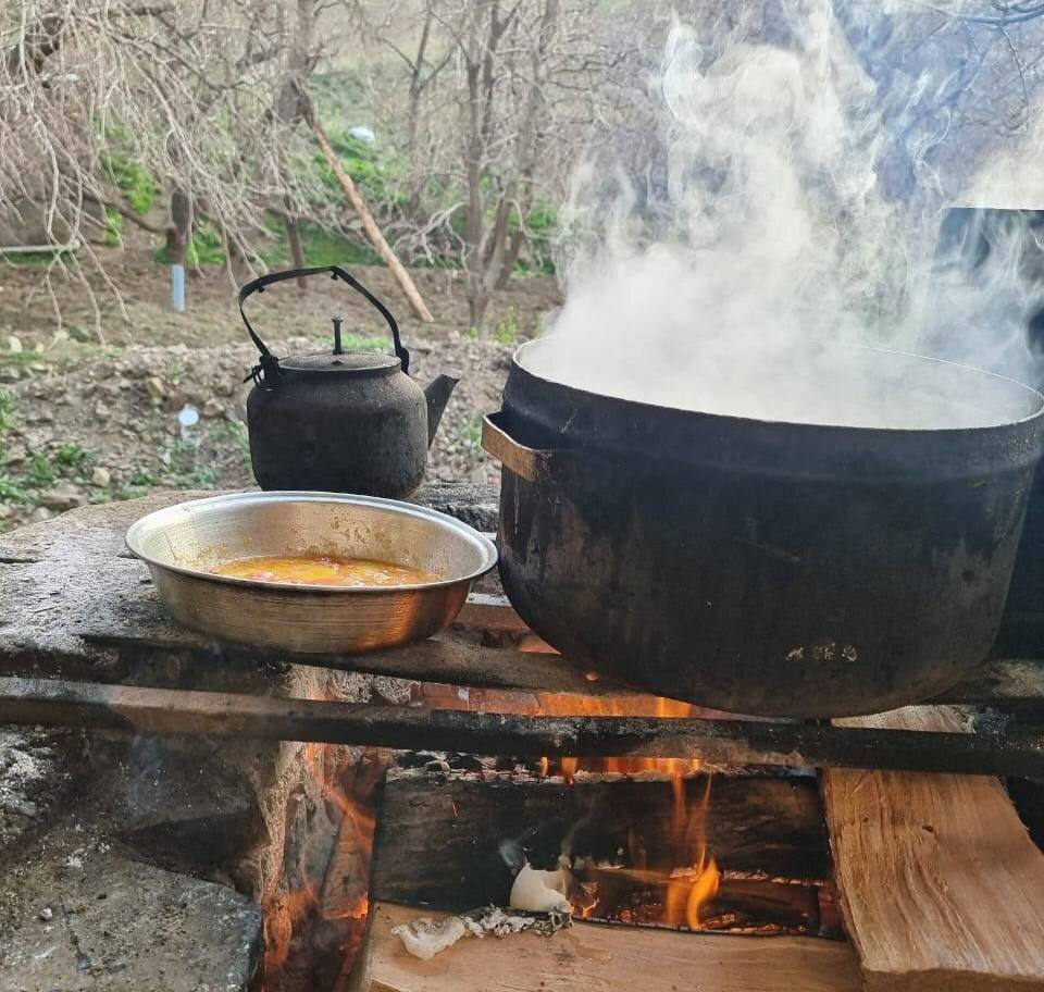 گلهداری این روزها عشق میخواهد | وقتی گرگ به گله میزند