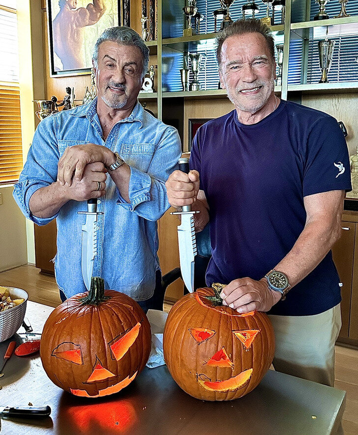 آرنولد و سیلوستر استالونه؛ چطور دشمنان قسمخورده تبدیل به دوستان عزیزتر از جان شدند؟