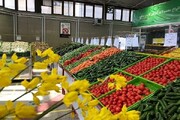 جدیدترین قیمت انواع میوه در میادین تره بار تهران | هر کیلوگرم انار ۱۶ هزار و ۵۰۰ تومان