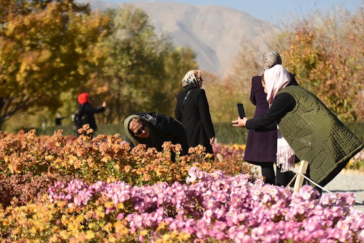 دورهمی گل‌های داودی در غرب تهران