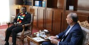 جزئیات دیدار معاون وزیر خارجه زیمبابوه با امیرعبداللهیان