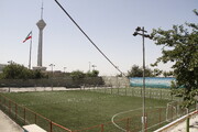 زمین‌های چمن غرب تهران‌ نونوار می‌شود