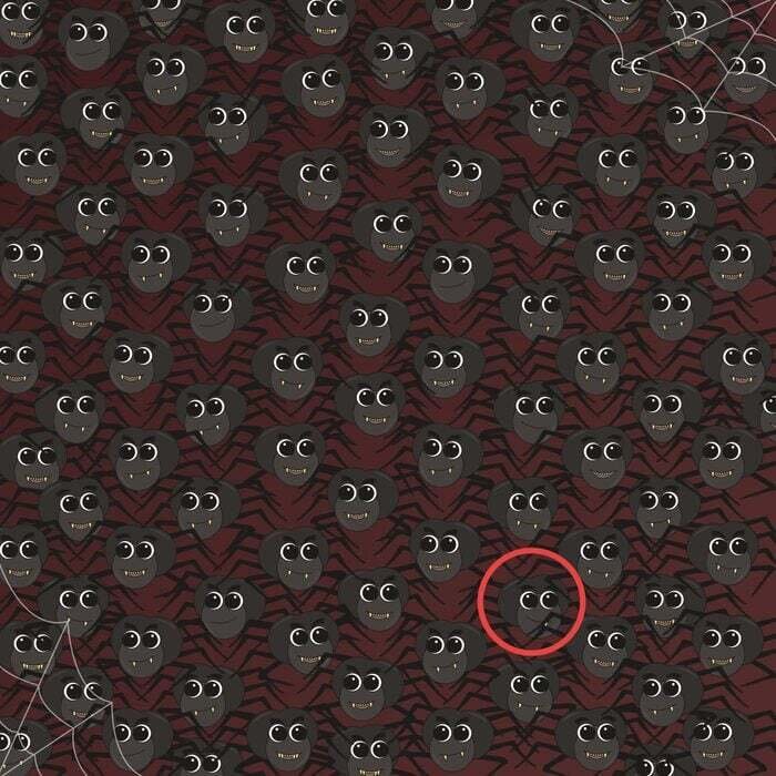 معمای تصویری | عنکبوت متفاوت را در ۲۰ ثانیه پیدا کنید!