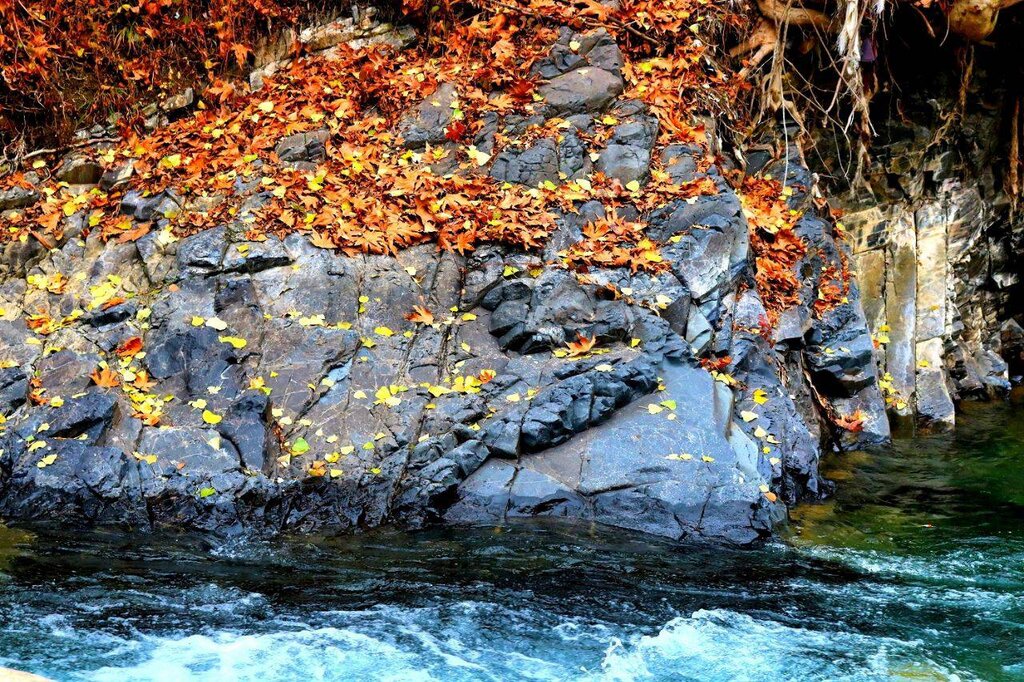 ببینید | جادوی نارنجی در حوالی تهران