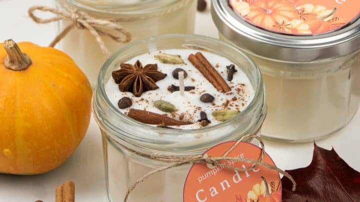 ادویه های کهنه را دور نریزید | تاریخ انقضای ادویه های مختلف چقدر است؟ | با ادویه قدیمی این کار را بکنید