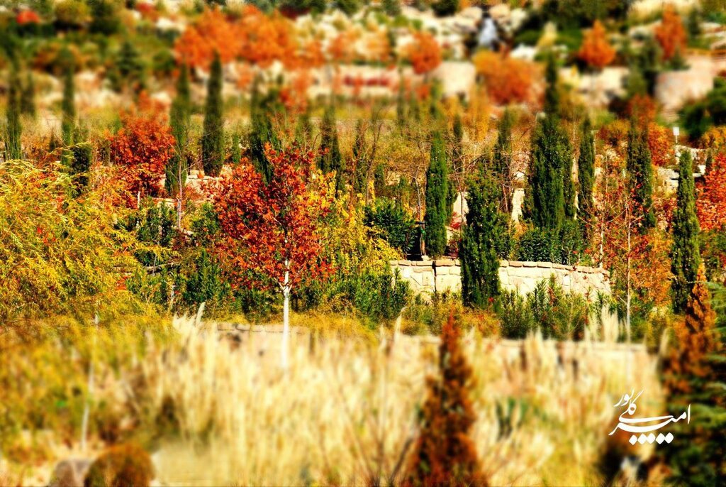 تصاویر | پاییز را از «آبشار تهران» ببینید
