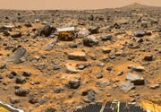 یک واقعیت جالب درباره جمعیت مریخ | آشنایی با ساکنان سیاره سرخ!