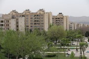 توموگرافی درختان شمال‌شرق تهران برای اولین بار در پایتخت