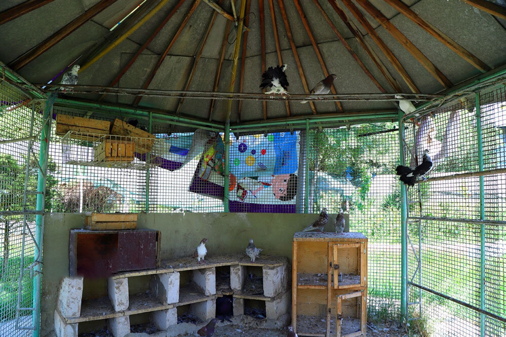 این مجموعه متفاوت و با امکانات علمی، ورزشی و هنری ایران زمین را بشناسید//