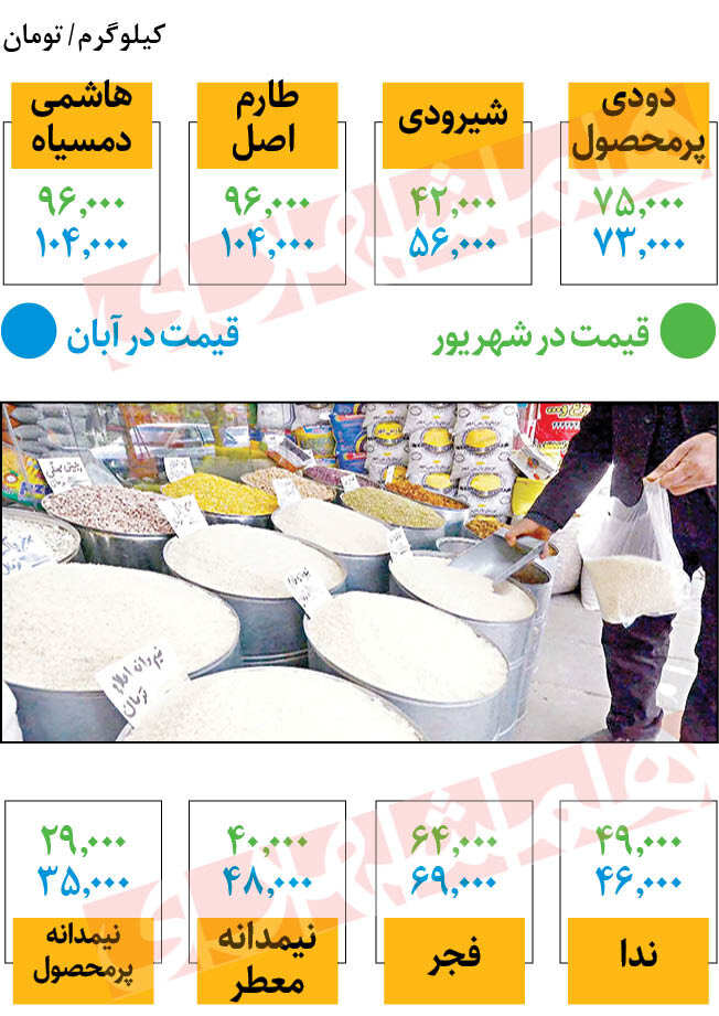 قیمت انواع برنج ایرانی و خارجی در میادین | برنج هاشمی و طارم کیلویی چند؟