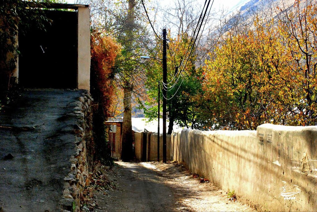 روستا کشار