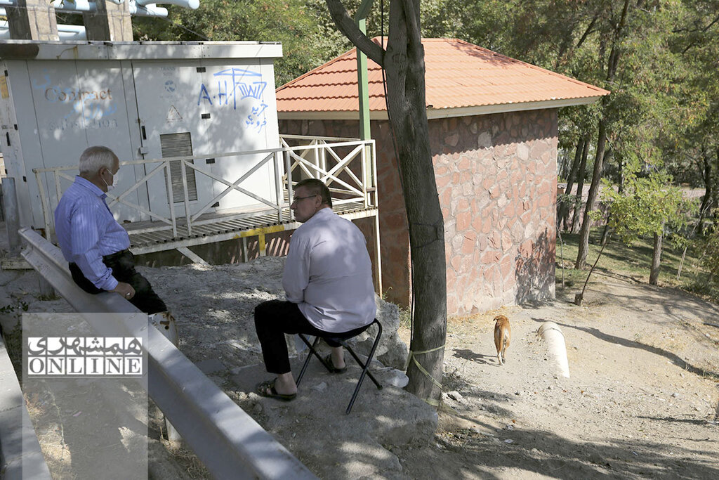 ۶ ساعت تعقیب و گریز نفس‌گیر با سگ‌های ولگرد پایتخت | آنچه از جزئیات و پشت‌پرده فعالیت تیم‌های زنده‌گیری حیوانات در تهران نمی‌دانید