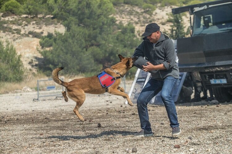 تصاویری از نیروهای پلیس قطر | آمادهباش برای جام جهانی ۲۰۲۲