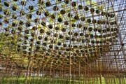 تصاویر  باغ معلق اعجاب‌انگیز درشهرهای آمریکایی | سازه‌های فلزی معلق، با گنبد سبز وارونه جان می‌گیرند