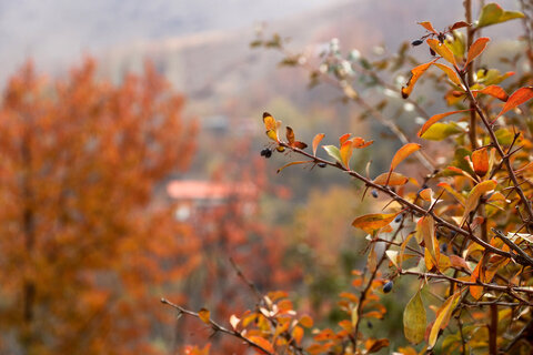 طبيعت پاییزی روستای آهار