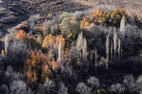 طبيعت پاییزی روستای آهار