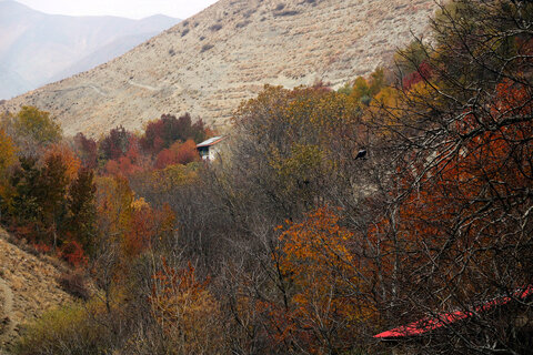 طبيعت پاییزی روستای آهار