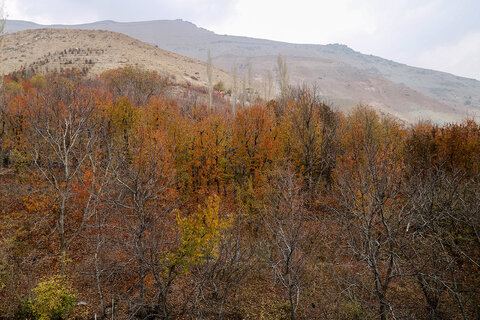 طبيعت پاییزی روستای آهار