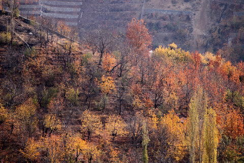 طبيعت پاییزی روستای آهار