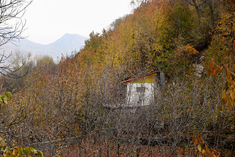 طبيعت پاییزی روستای آهار