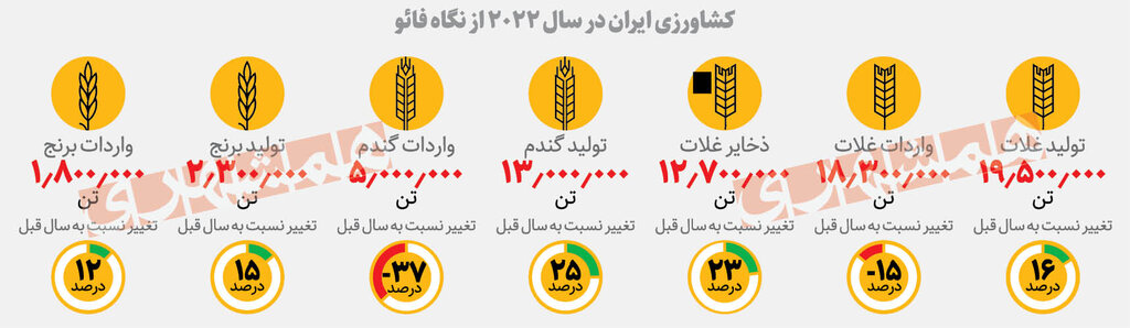 رکورد تولید غلات ایران می‌شکند | مهر تأیید فائو بر موفقیت کشاورزی ایران 