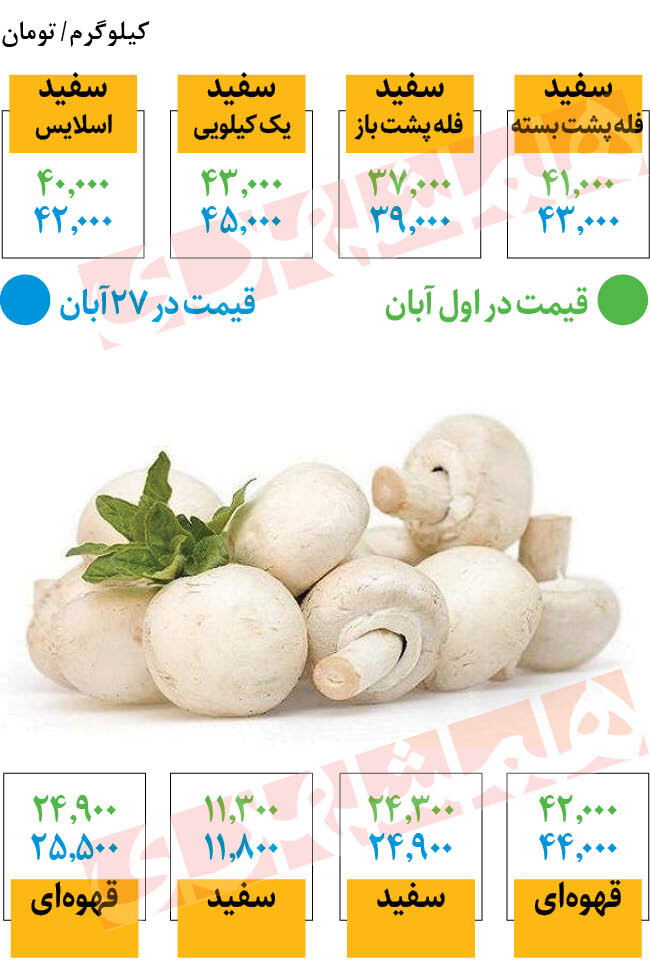 افزایش دوباره قیمت قارچ | هر کیلو قارچ چند شد؟
