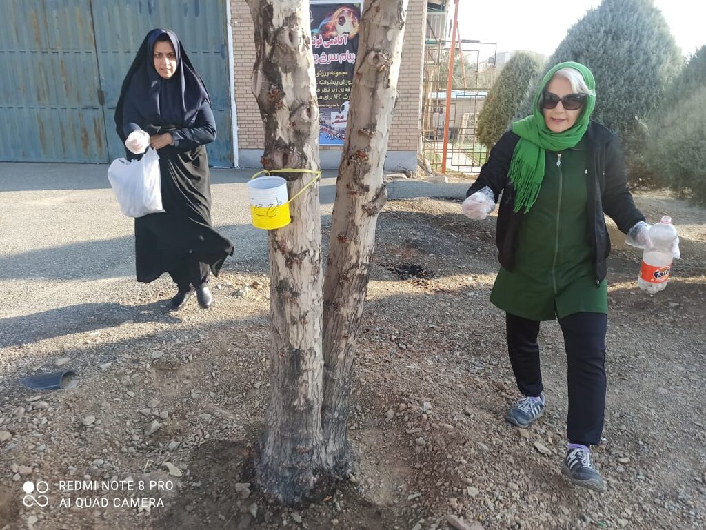 جنگل لتمال بدون زباله در فصل پاییز