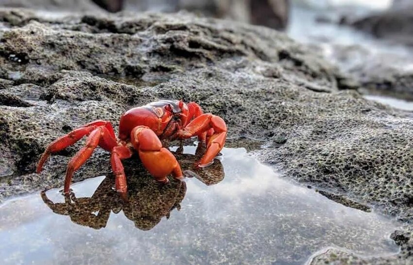 رازهای پنهان درون تارهای ابریشم؛ وقتی طبیعت به علم جان میدهد