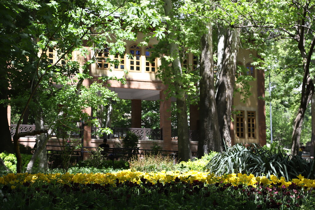 روایتهای کمتر شنیده شده از علت نامگذاری محلهای با درختان «ون» | این محله به نام یک ایل بختیاری است؟