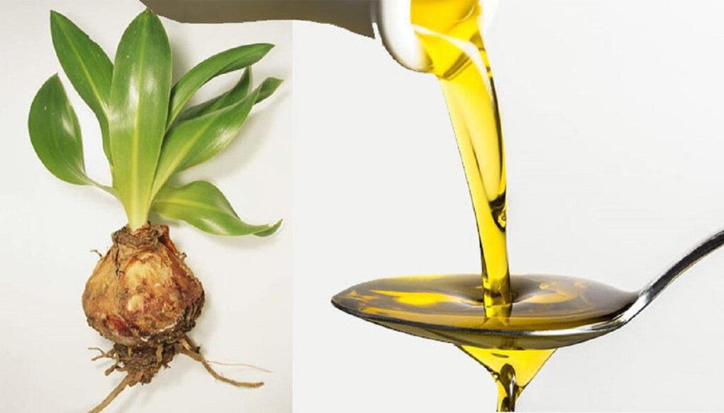 ۳ روغنی که برای موهای خشک و کدر معجزه میکنند | بهترین درمان و مراقبت از موی خشک