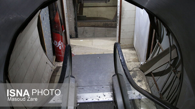 تصاویر پل عابر پیادهای که تبدیل به تونل وحشت شد | حیوانات موذی در این پل رژه میروند