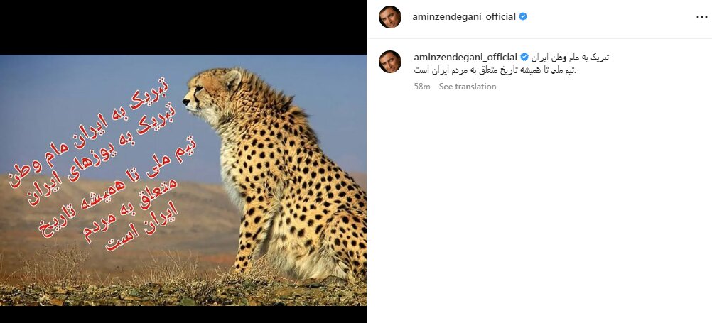 پست اینستاگرامی امین زندگانی برای تیم ملی؛ تبریک به یوزهای ایرانی