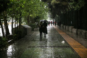 بارش شدید باران در تهران | آماده باش نیروهای خدمات شهری