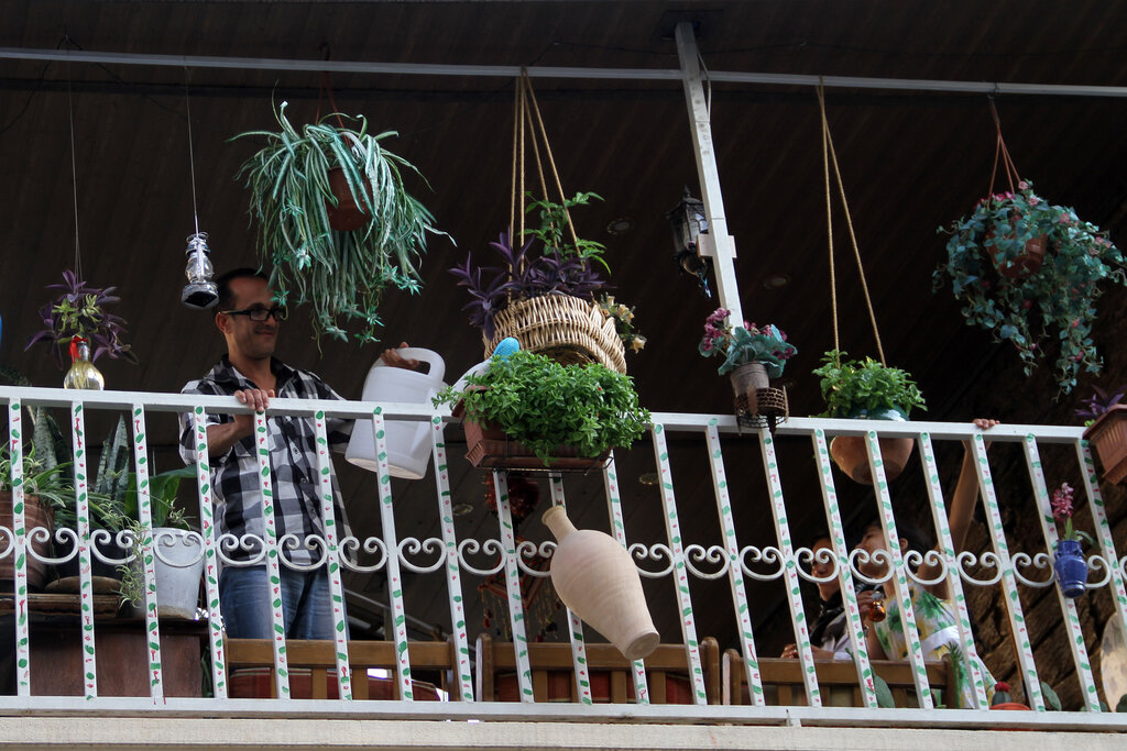 تصاویر | مشارکت اعضای یک خانواده در غرب تهران برای طراحی بالکن متفاوت | شمال ایران را در تاکستان ببینید