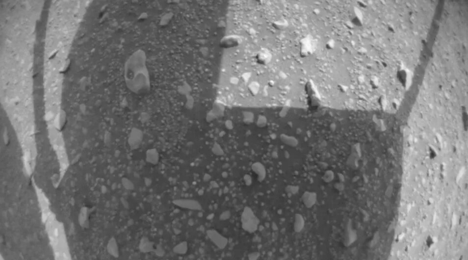 سطح مریخ هلیکوپتر نبوغ