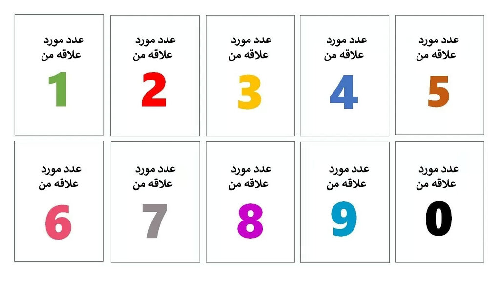 از روی عدد مورد علاقهتان به شخصیت خود پی ببرید