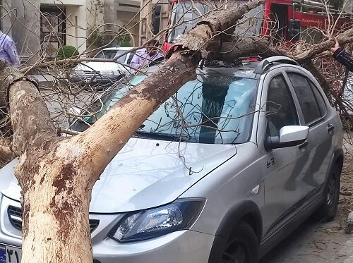 نظافت شهر و لایروبی جویهای آب در صدر مطالبات پایتختنشینان | ۱۵ محور مهم تماسهای مردمی با سامانه نظارتی شهر