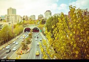 تصاویر | سمفونی رنگ‌ها در روزهای پاییزی تهران