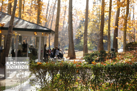 کاخ سعدآباد