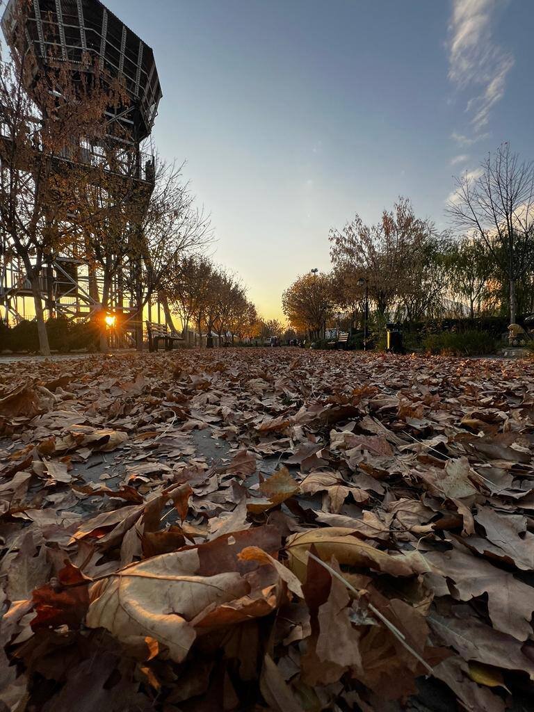 روی برگهای پاییزی «خلیج فارس» قدم بزنید